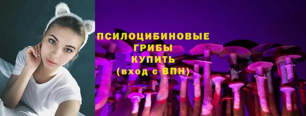 ALPHA-PVP Медвежьегорск
