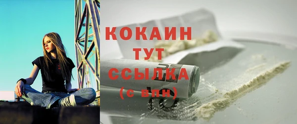 дмт Мегион