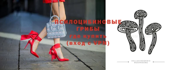 дмт Мегион