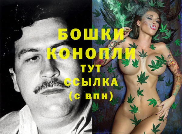молекула духа Нягань
