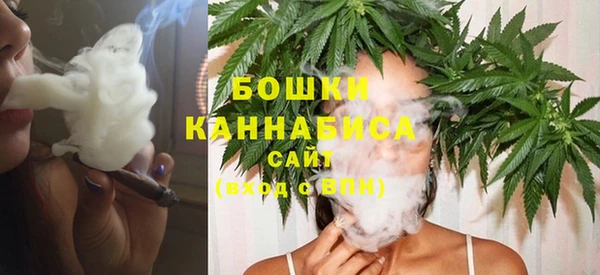 СК Медногорск