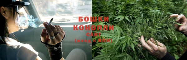 дмт Мегион